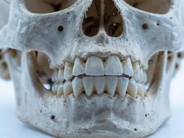 Křivé zuby a jejich dopad na vývoj: Proč nejít přesvlechnutě přes estetiku